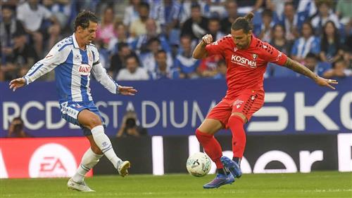Ultimate Figo Bet Tips for Success